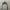 Carhartt Casual Casual shirt Pria white gray photo 1