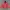 Carhartt Active Jacket Crimson (J130 CRI)