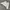 Carhartt detroit jacket (J64CMT) photo 6