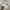 Thom Browne Luxury Casual Casual shirt Pria white photo 3