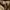 Coen Canvas Gardening Pants photo 7
