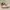 AIR JORDAN 1 LOW - Pink photo 3
