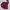 Sweater Polo Ralph Lauren Cableknit Rajut Burgundy photo 5