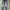 Celana evisu jeans fadding photo 2