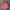 Jacket Outdoor Millet French Pink Gorpcore Gore-tex photo 3