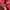 Jacket Outdoor Millet French Pink Gorpcore Gore-tex photo 5