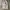 SweatPants Grey Pattern photo 2