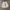 Jorts white photo 1