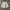 Jorts white photo 2