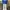 CarpenterJeans GreenWash Pattern photo 6