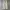 CarpenterJeans GreenWash Pattern photo 2