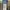 CarpenterJeans GreenWash Pattern photo 5