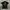 Polo shirt skull GCA photo 2