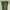 Outer Vest Rompi Sage