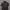 Kaos Turtle Neck photo 1