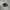 Oncloud Monster photo 1