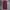 Rageblue cargo pants maroon canvas photo 1