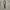 Belt canvas navy grey photo 1