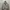 Private Pause Corduroy Jacket Skena Crop