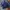 Tracktop Puma Navy Tapped (Minus) 