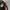 Avirex Luxury Bomber jacket Pria black photo 4