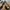 Streetwear Casual Sneakers Wanita multicolor photo 3