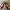 Streetwear Casual Sneakers Wanita multicolor photo 4