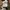 VANS Streetwear Casual Casual shoe Pria white black photo 8