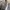 VANS Streetwear Casual Casual shoe Pria white black photo 5