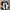 NIKE AIR MAX SC CW1455 photo 3