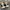 NIKE AIR FORCE 1 LOW photo 5