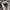 NIKE AIR FORCE 1 LOW photo 6