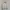 Vintage Tea Industry Canvas Boxy Work Jacket