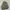 Lafudge Store M-65 OG Fishtail Short Parka Boxy Jacket photo 2