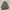 Lafudge Store M-65 OG Fishtail Short Parka Boxy Jacket