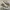 Converse One Star x Golf Le Fleur Qualted Velved Brown Sugar photo 1