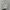 Converse One Star x Golf Le Fleur Qualted Velved Brown Sugar photo 6