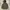 In the attic coat fur jacket photo 1