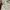 Ralph laurent the skinny polo big pony golden embroidery dre photo 4