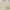Ralph laurent the skinny polo big pony golden embroidery dre photo 2