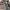 Army Suit Chemical Protective Class 1  photo 6