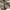 Army Suit Chemical Protective Class 1  photo 3