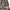 Army Suit Chemical Protective Class 1  photo 2