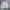 Polo by Ralph Lauren Cardigan Knitwear Broken White Wanita photo 1