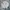 Polo by Ralph Lauren Cardigan Knitwear Broken White Wanita photo 4