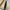 FIND KAPOOR PINGO 20 beige and black bag photo 6