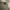 FIND KAPOOR PINGO 20 beige and black bag photo 8