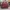 Tas Fendi Burgundy Vitello Learher Asli (Second) photo 4