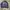 Bomber Military photo 3