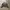 leather jacket sherpa  photo 1